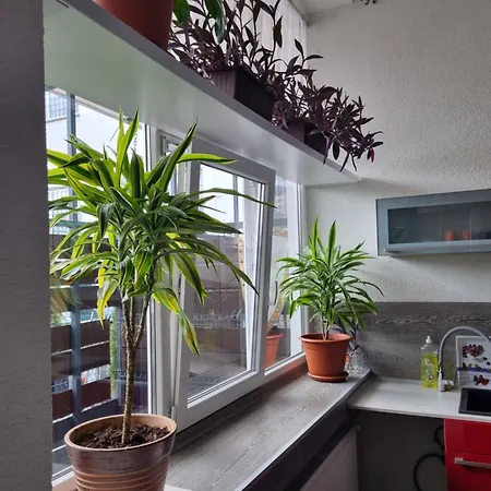 Ambrak C.1 Apartment Martin