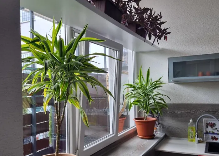 Ambrak C.1 شقة مارتون